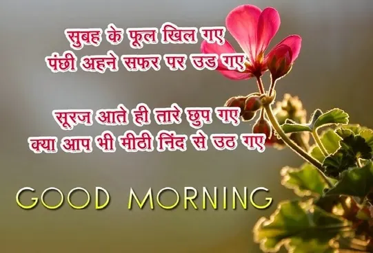 Good Morning Shayari in Hindi