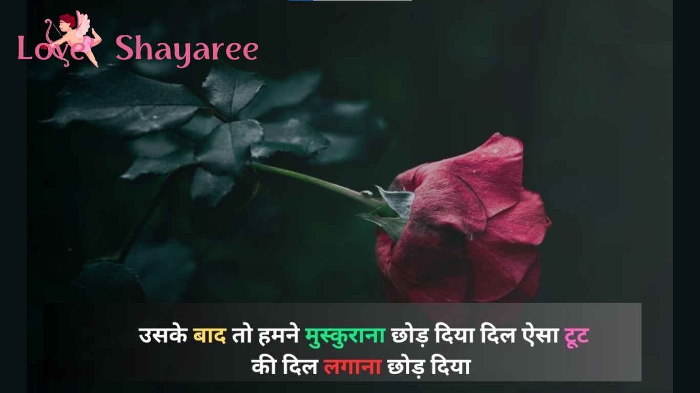 Sorry Shayari in Hindi
